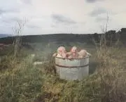kinaの画像