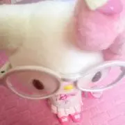 shの画像