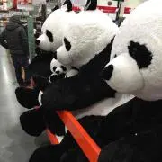 仮免