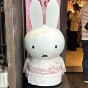 nyumの画像