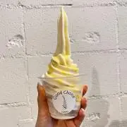 ぽんの画像