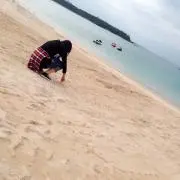 n ＊プロフ必読
