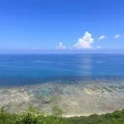 yntmの画像