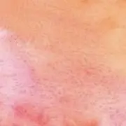 ルル50986の画像