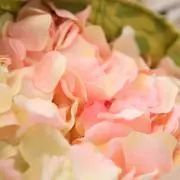 ＆Mの画像