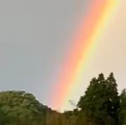 まる