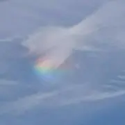 みーすけの画像