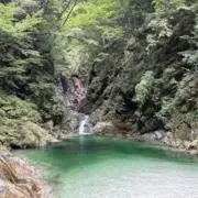 サチ