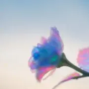 SEVENTEEN BE THE SUN 南海ラピート メモリアル スングァン - メルカリ