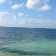 タロキチ