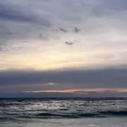 まなの画像