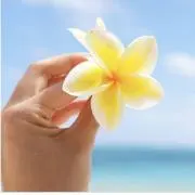 ✴︎mizu-ha✴︎即購入ok！の画像