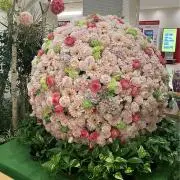 Takezoの画像