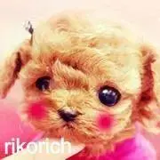 riko-rich