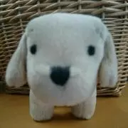 ふぁーふぁの画像
