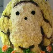 ヴァッシュの画像