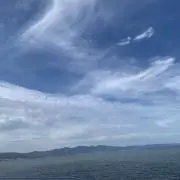 なみの画像