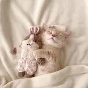 りみの画像