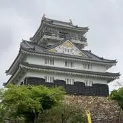 やすの画像
