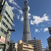 近革の画像