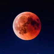 rui_halfmoonの画像