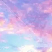 Yuの画像