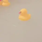 ゆの画像