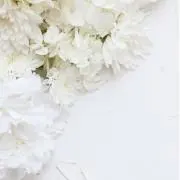 にあの画像