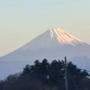 やすやすの画像