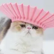 ちくわ★日曜発送お休みの画像