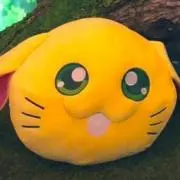 mochi♡の画像