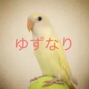 ゆずなの画像