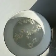 snowの画像