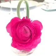 るるる♪の画像