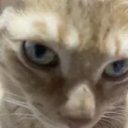 仁の画像