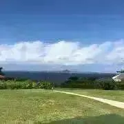 ホタルの画像