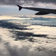 床