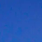 も