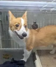 めいめい