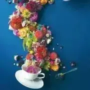 hiii◡̈ プロフ必読‼︎の画像