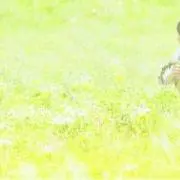 みる♪プロフィール確認ください。