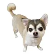 ムーミンママの画像