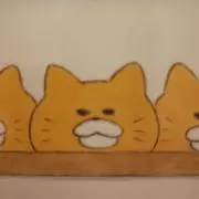 ゆずちゃんの画像