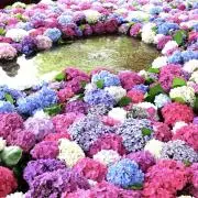 HANA⭐︎まとめ割ありますの画像