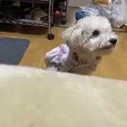 プロフ必読←