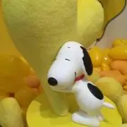 ココ☆の画像