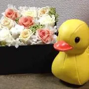 piyoの画像