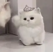 むにの画像