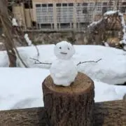 H-Hの画像