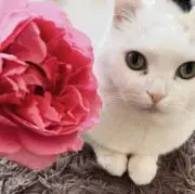 naomueの画像